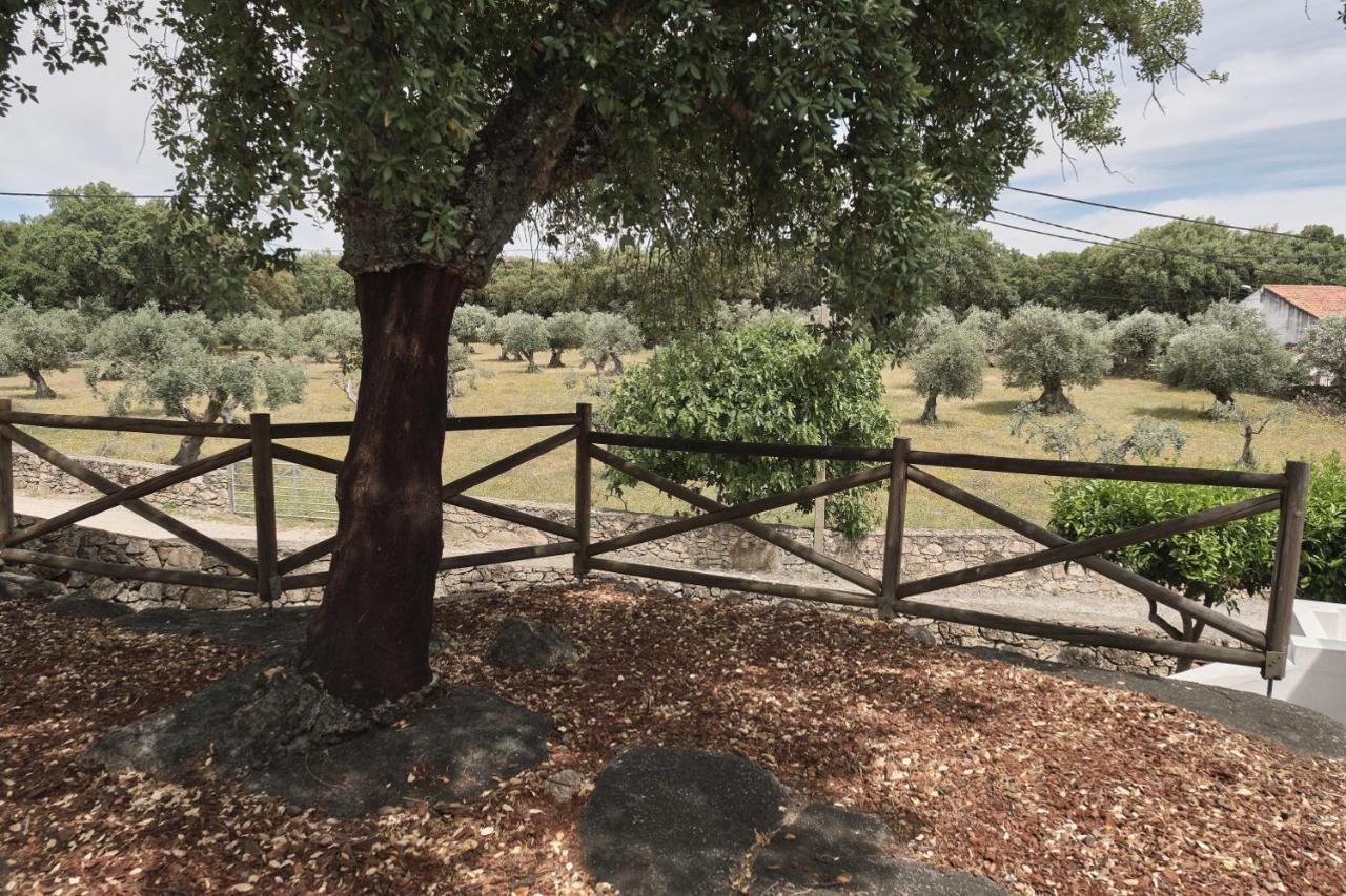 Marvão Casa Do Brasaoヴィラ エクステリア 写真